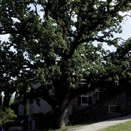L'Abbraccio Della Quercia Apartment Momjan Екстериор снимка