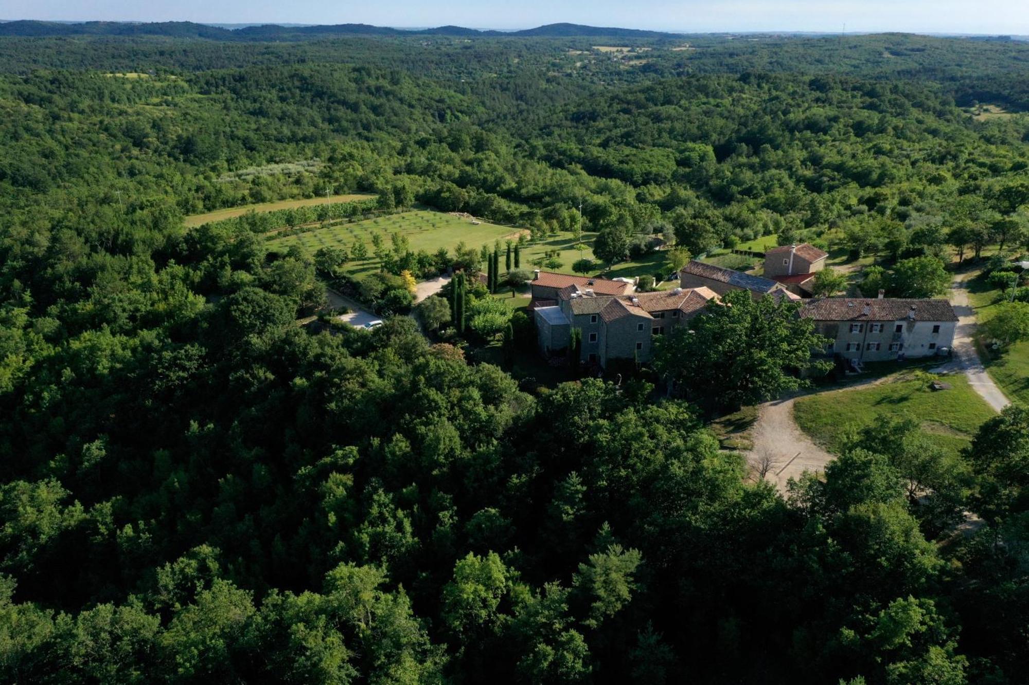 L'Abbraccio Della Quercia Apartment Momjan Екстериор снимка